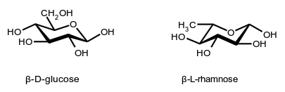 β-D-glucose and β-L-rhamnose