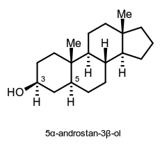 5α-androstan-3β-ol