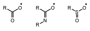 molecule
