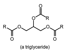 molecule