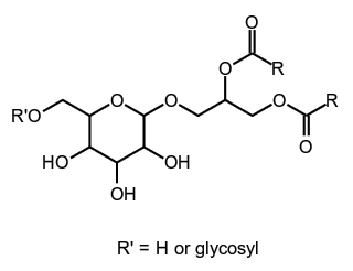 molecule