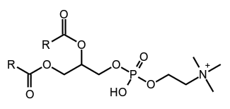 molecule