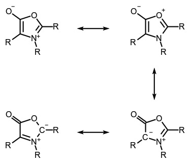 molecule