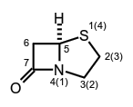 molecule