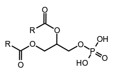 molecule