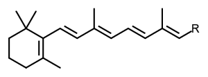 molecule
