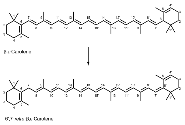 molecule