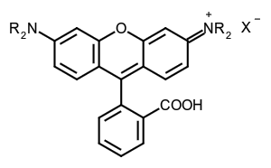 molecule