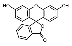 molecule
